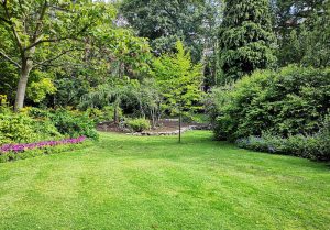 Optimiser l'expérience du jardin à Dieffenbach-au-Val